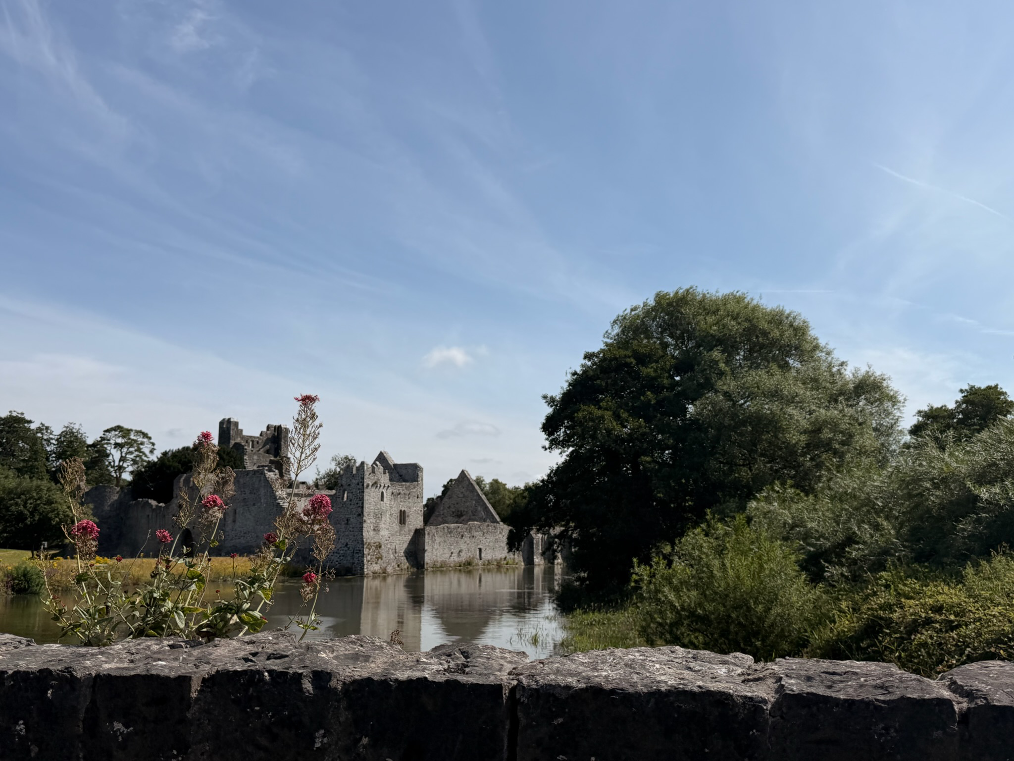 Schloss und Bäume an einem Gewässer unter blauem Himmel. Im Vordergrund sieht man die Steinmauer einer Brücke und eine Blume