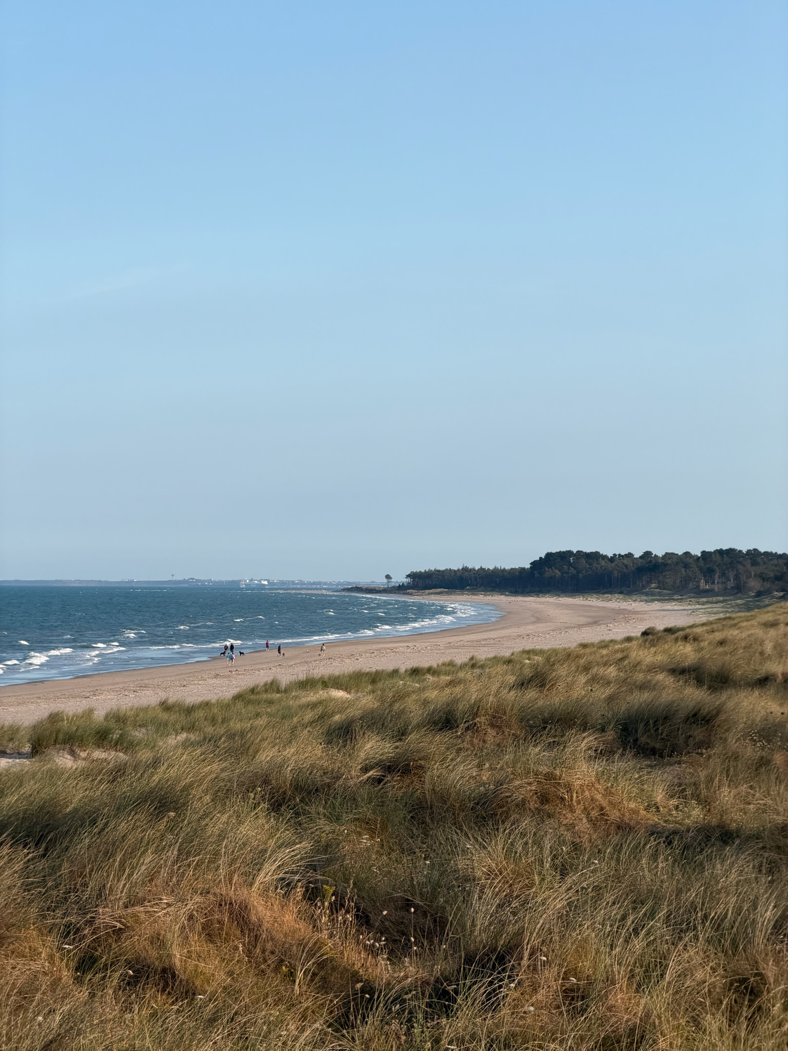 im Vordergrund ist Gras und im Hintergrund breiter Sandstrand und das Meer mit flachen Wellen und ein rechts ein Wald